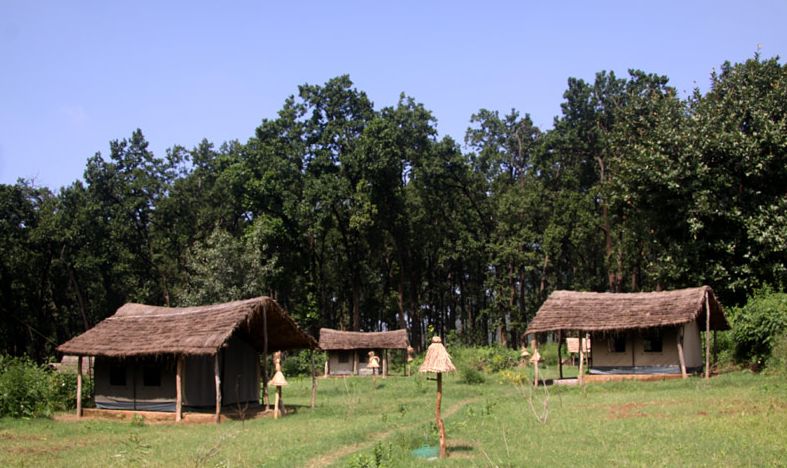 Camp Kyari, Siyat, Jim Corbett