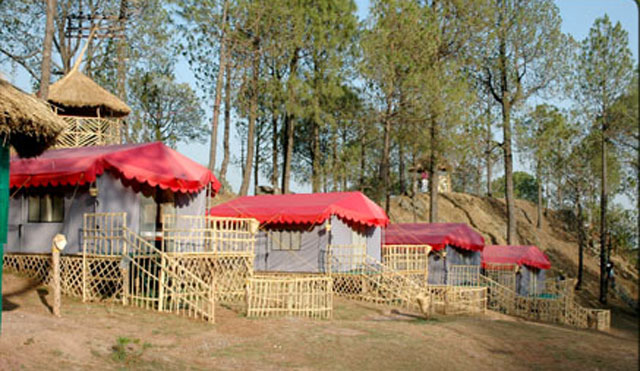 Camp in Kasauli, Solan