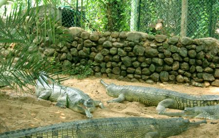 Guindy National Park