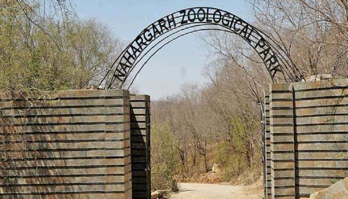 Nahargarh Biologocal Park