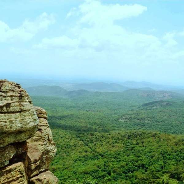 Biligiriranga Hills