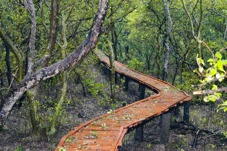 Coringa Wildlife Sanctuary