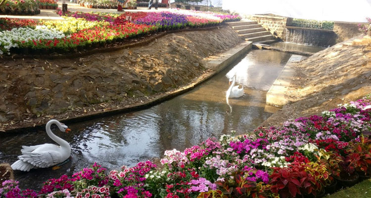 Empress Botanical Garden, Pune