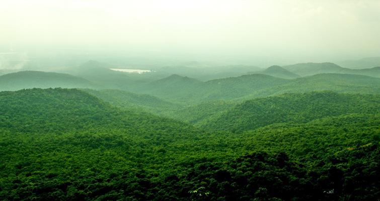 Hill Station Near Bandipur National Park