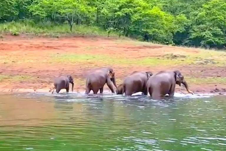 Periyar National park trip