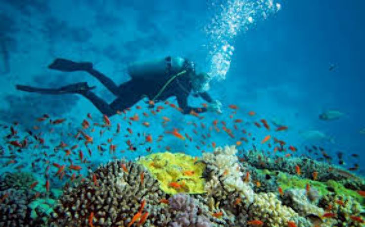 Scuba diving in pondicherry