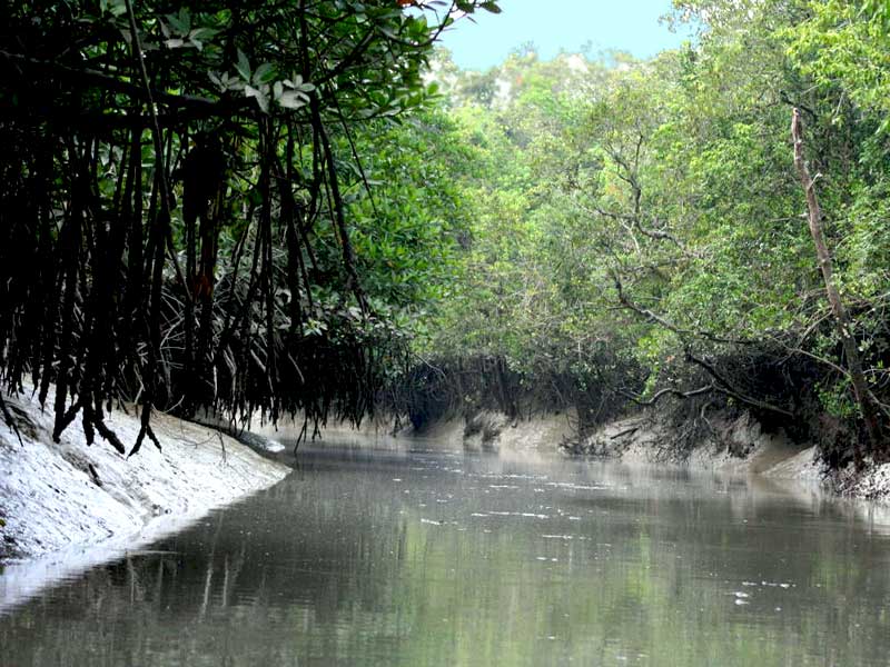 Sundarbans