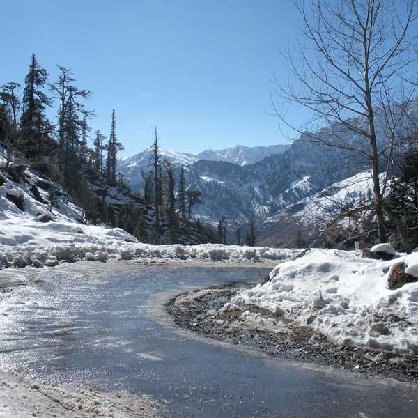 gulba in manali