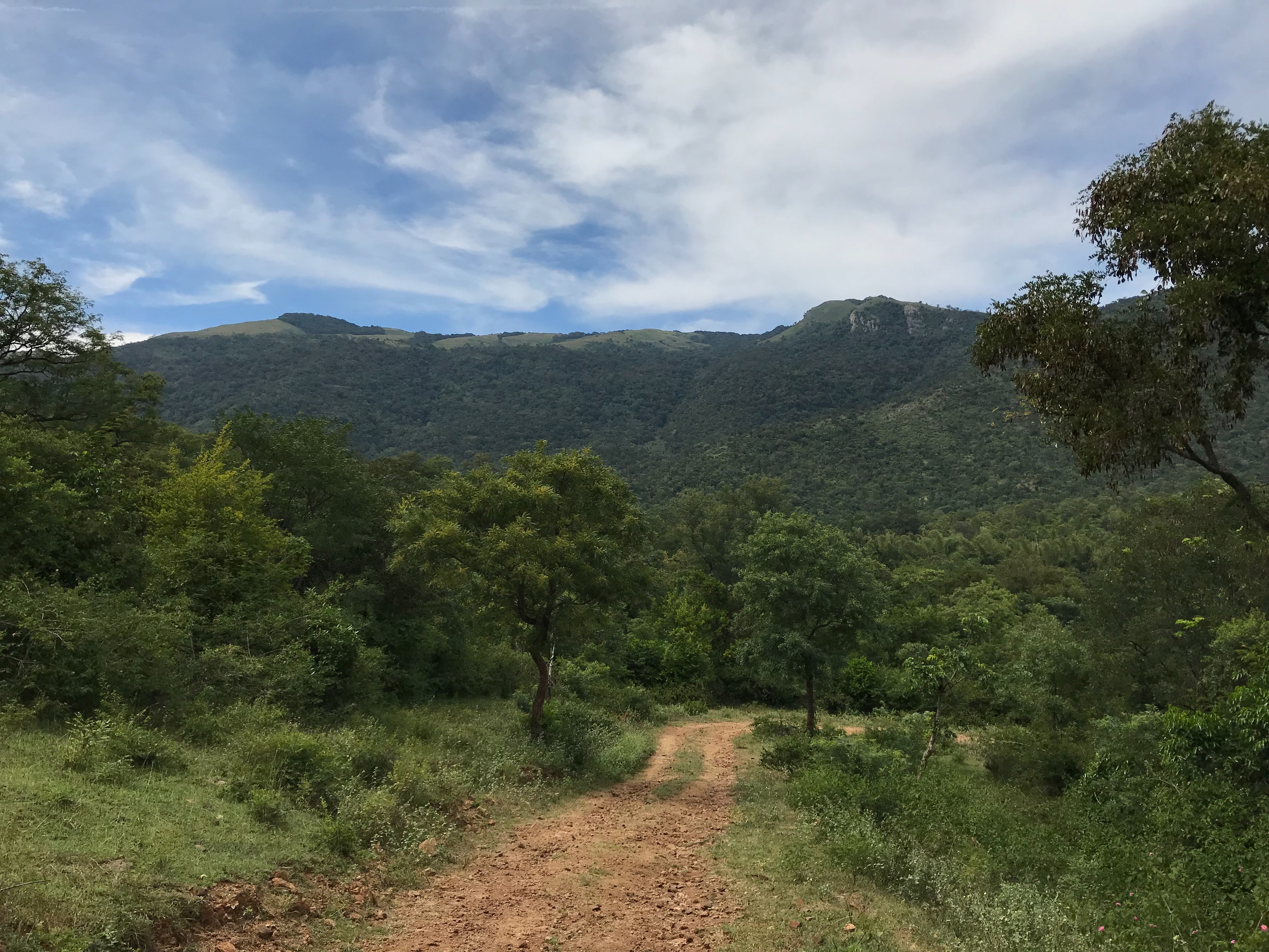 Biligiriranga Hills, bangalore