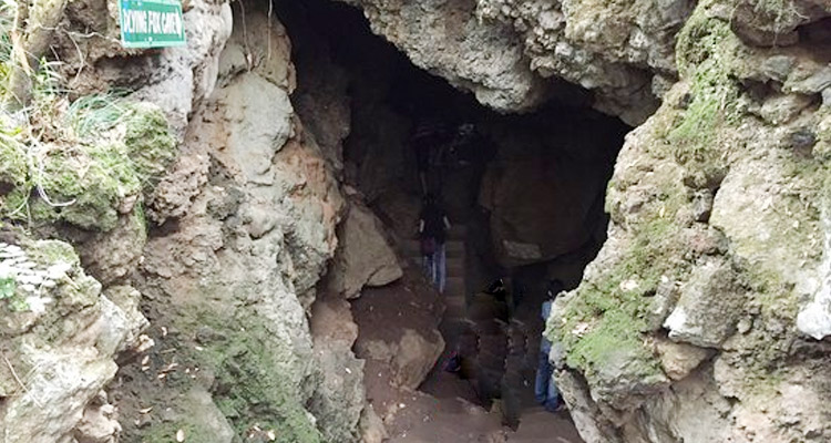 Eco Cave Garden