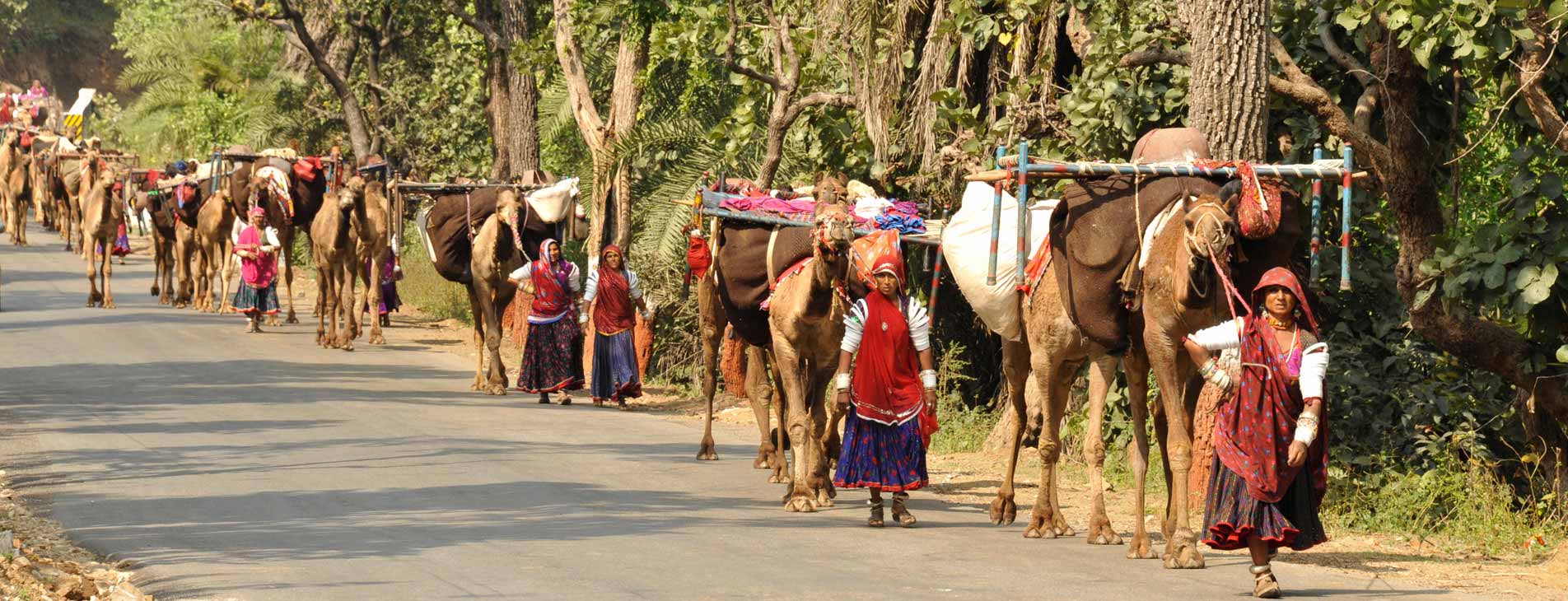 Enjoy the tribal festival with the tribes