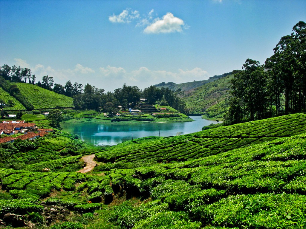 Hills near Bangalore