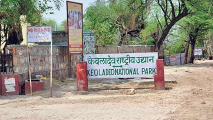 Keoladeo National Park