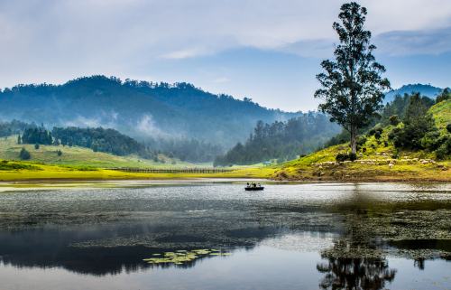 Kodaikanal