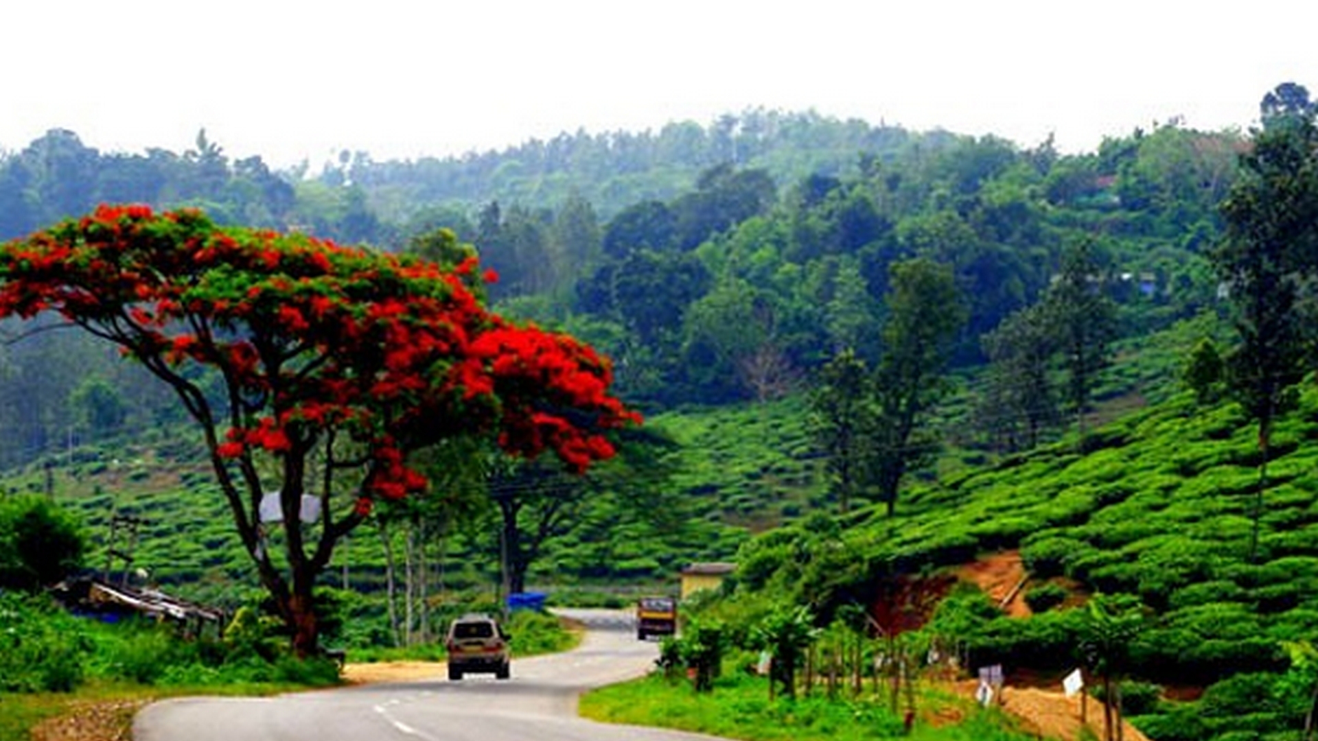 tourist places in trivandrum for one day trip