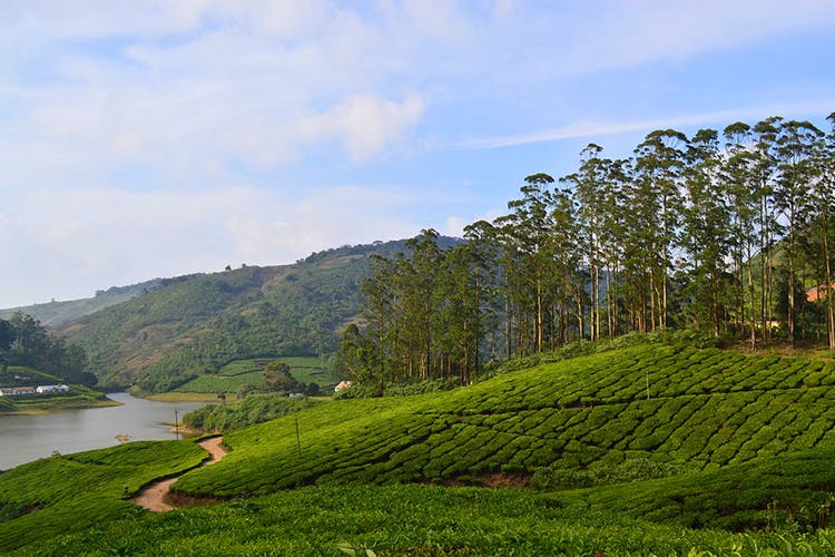 Meghamalai