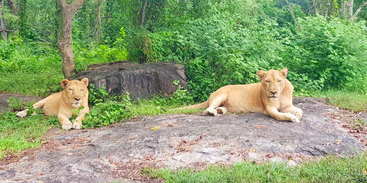 Neyyar Wildlife Sanctuary