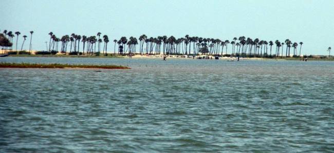 Pulicat