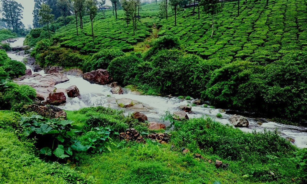 Valparai