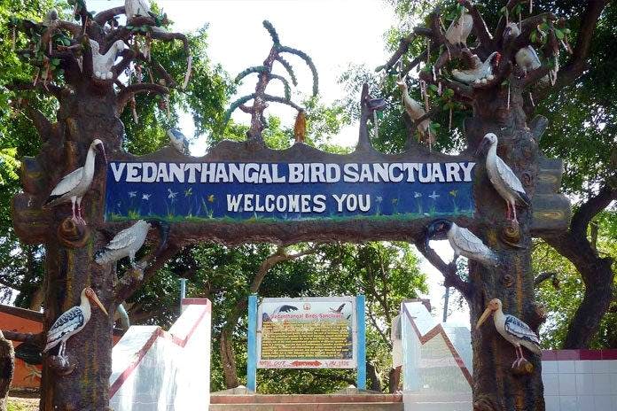 Vedanthangar Bird Sanctuary