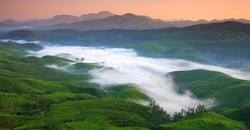 tourist location near kochi