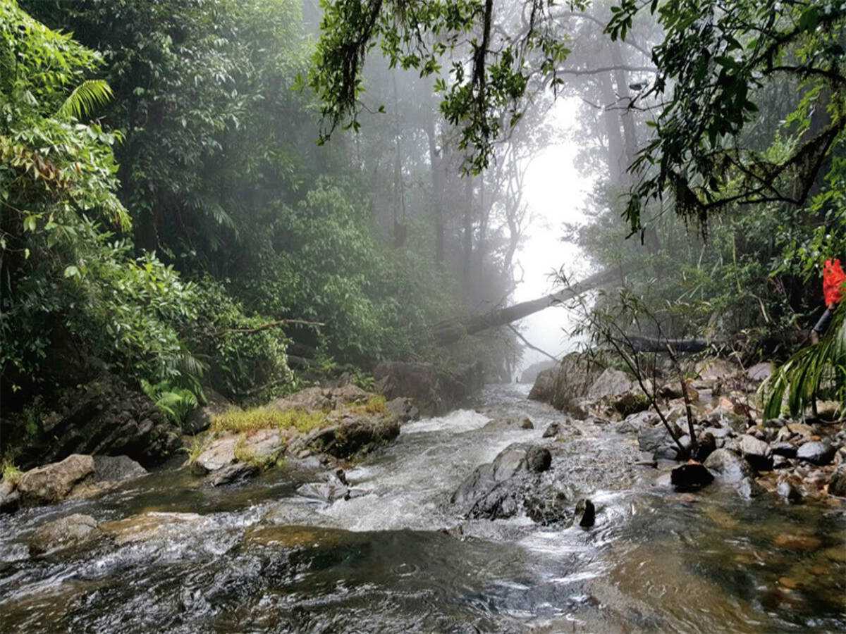 Agumbe, Karnataka