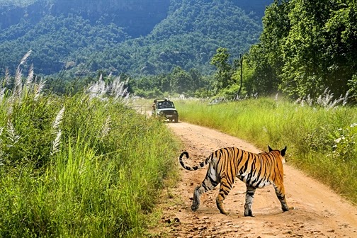 Jim Corbett