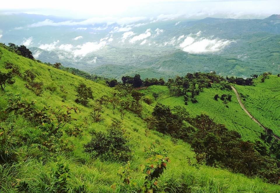 Palakkayam