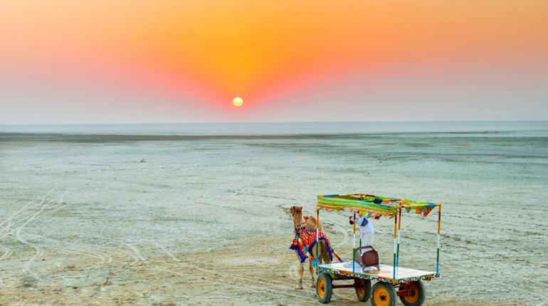 Rann Of Kutch