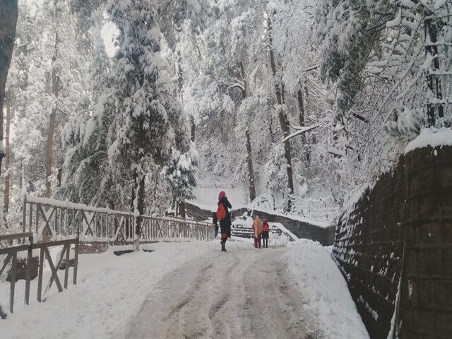 Shimla to Bir Billing