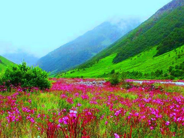 Valley of Flowers, Uttarakhand