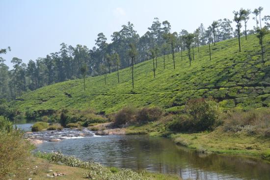 Valparai, Tamil Nadu