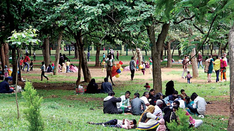 Cubbon Park