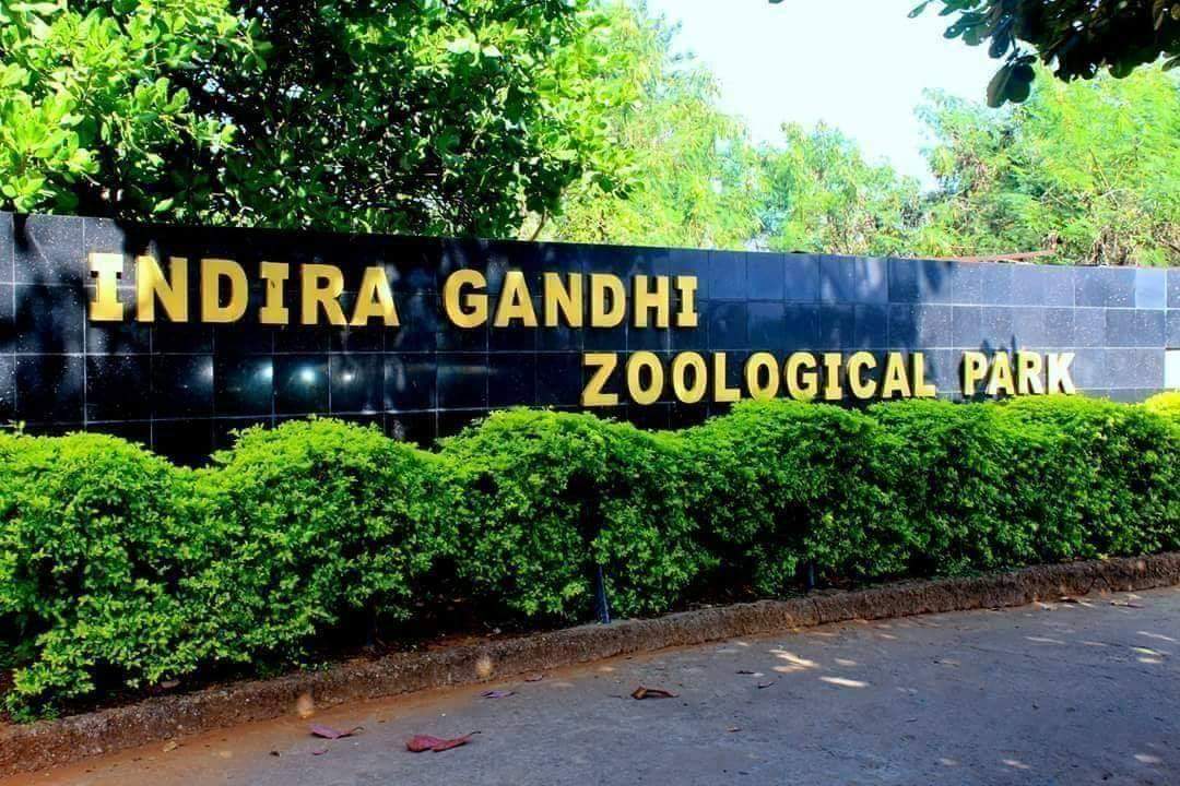 Indira Gandhi Zoological Park, Vizag