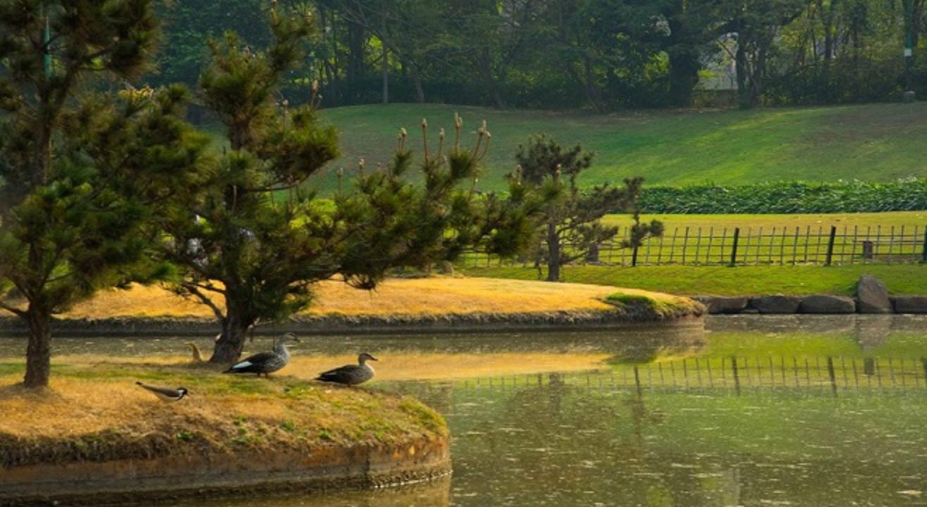 Pashan Lake, Pune