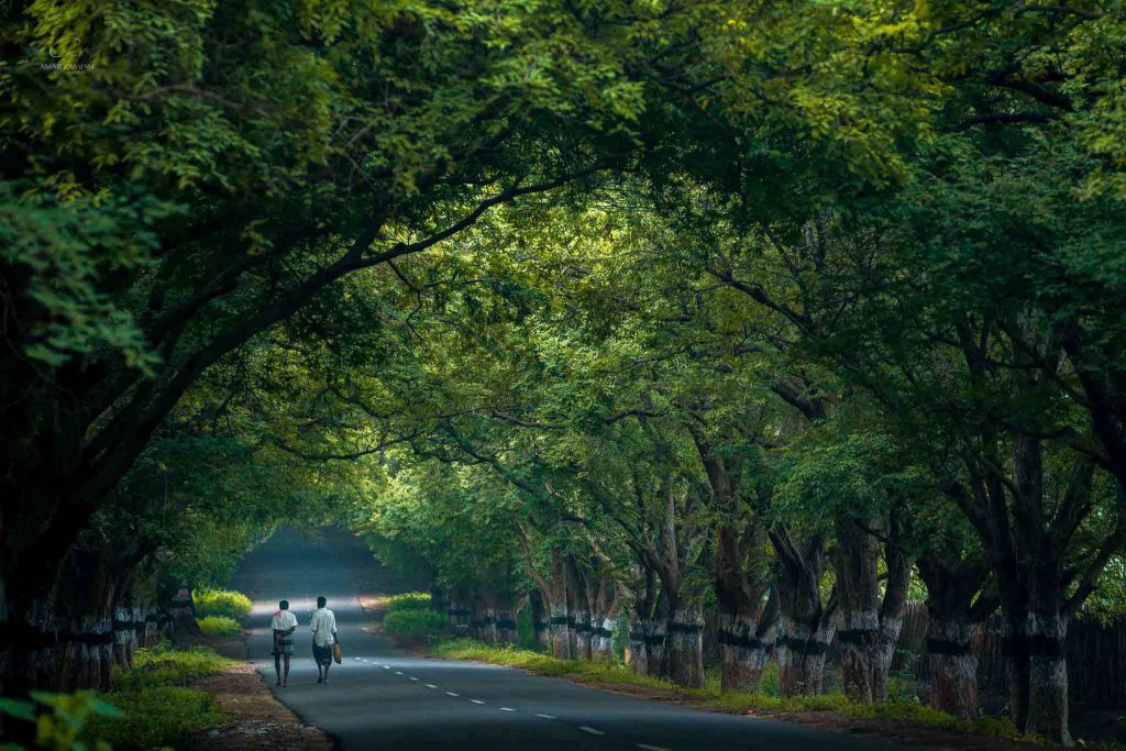 tamilnadu tourist places in july