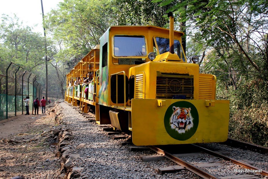 Sanjay Gandhi National Park