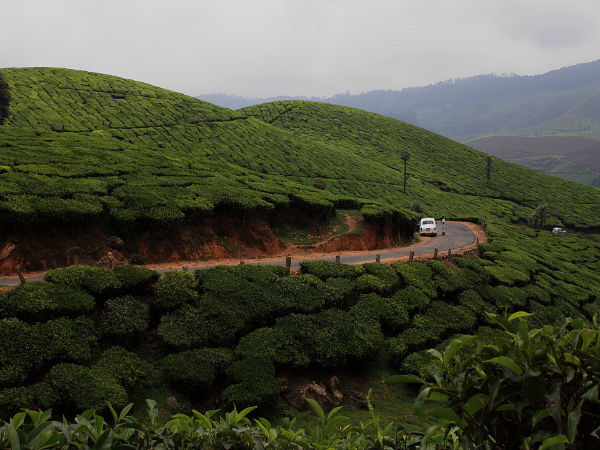 Bangalore to Munnar