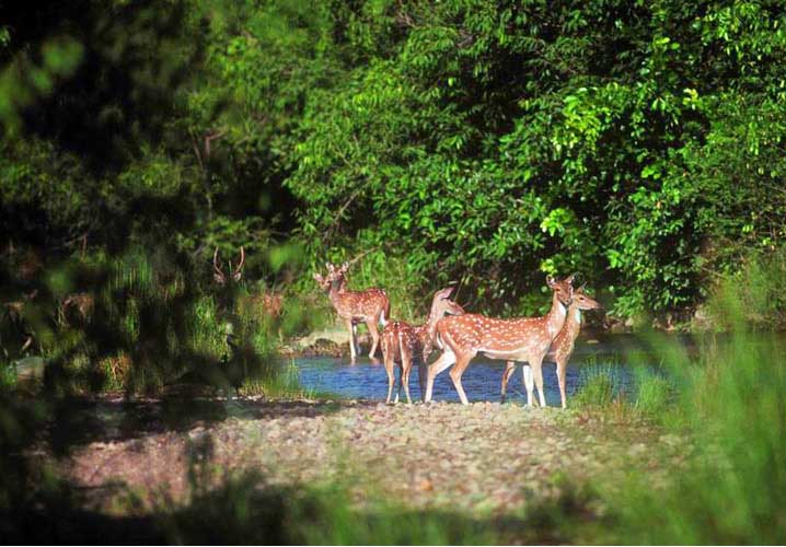 Barda Hills Wildlife Sanctuary