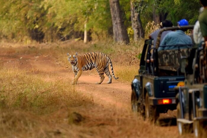 Jim Corbett