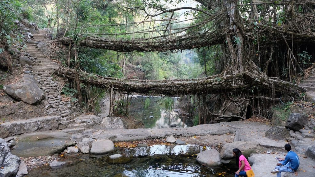 Living Root Bridges, Meghalaya