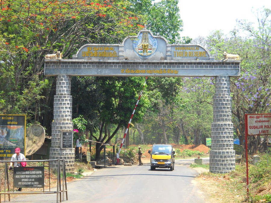 Madumalai National Park