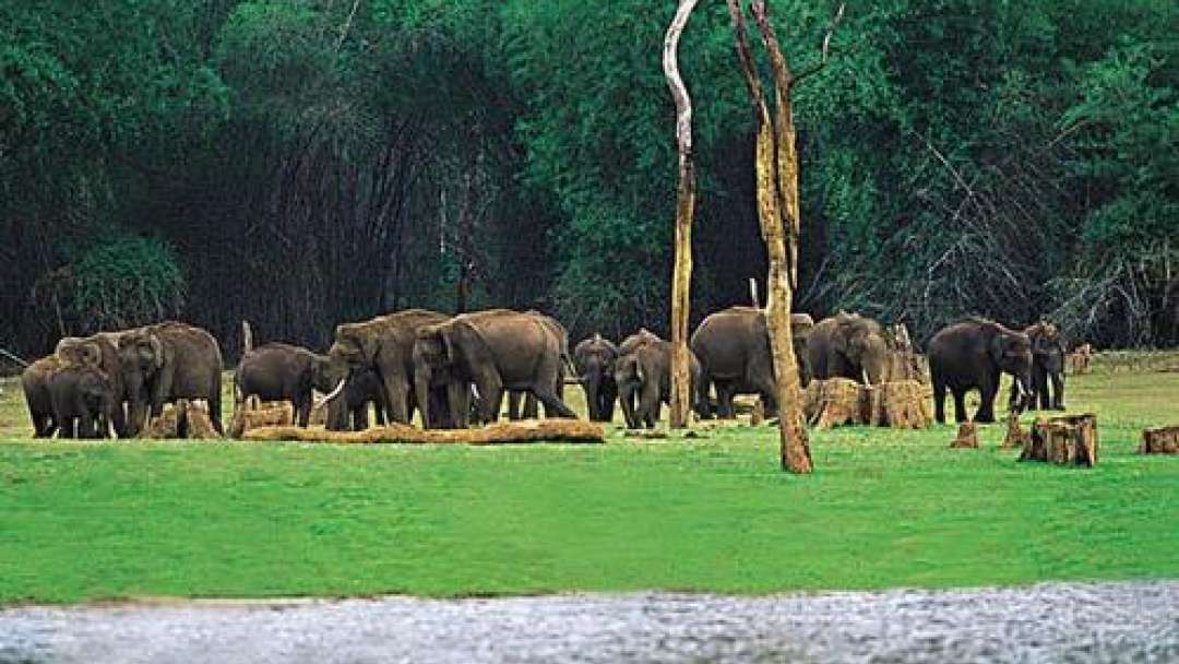 Peppara Wildlife Sanctuary