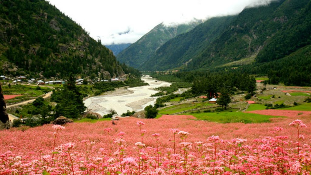 Sangla Valley