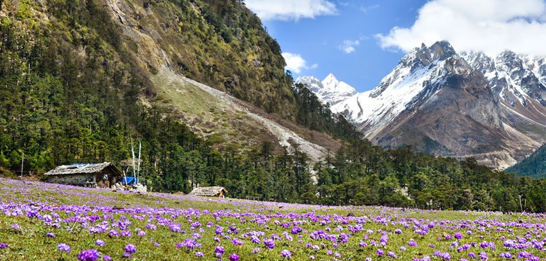 Varsey Trek, Sikkim