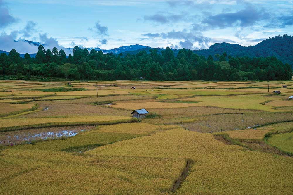 Ziro, Arunachal Pradesh