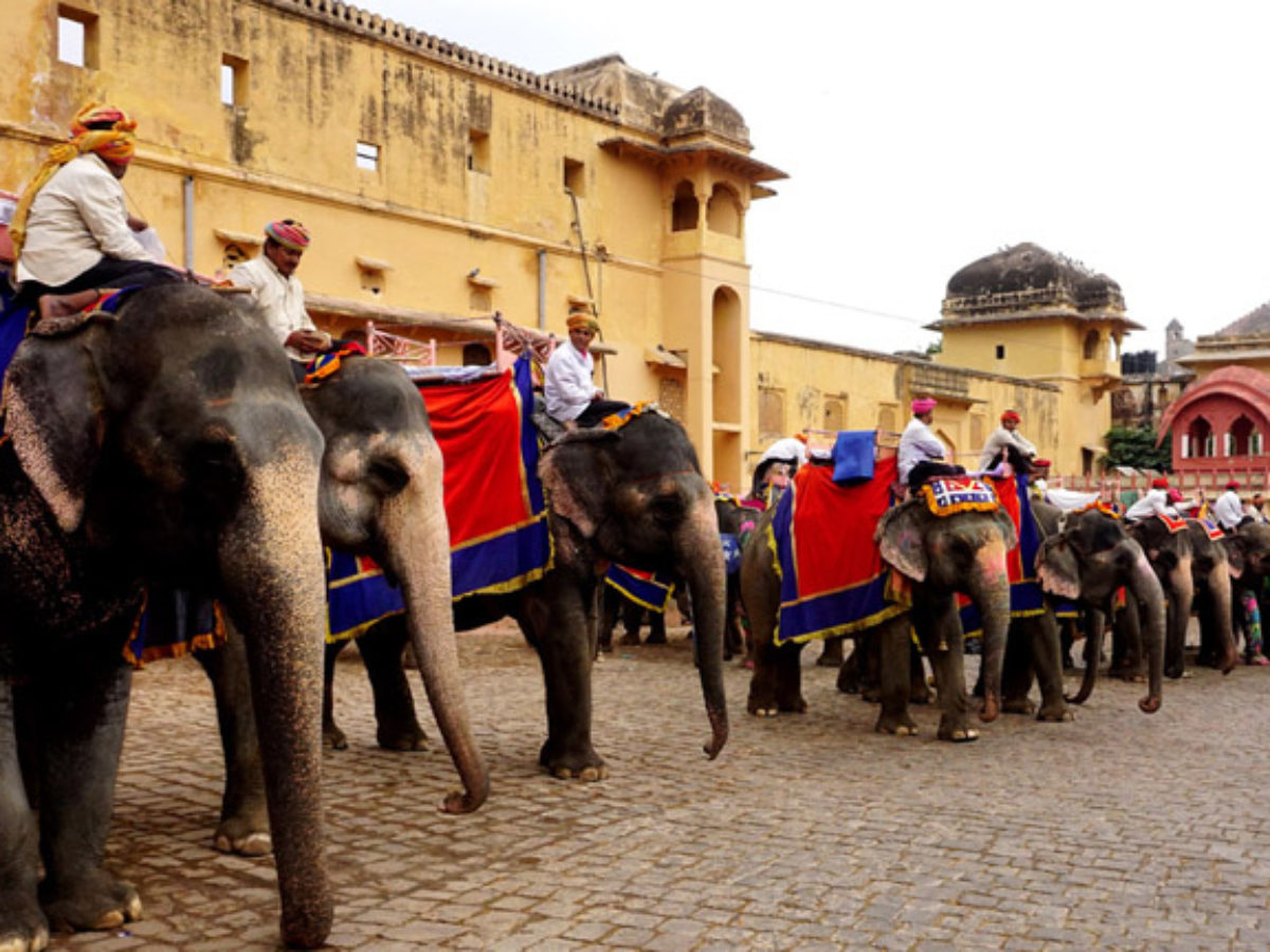 Jaipur Elephant Village