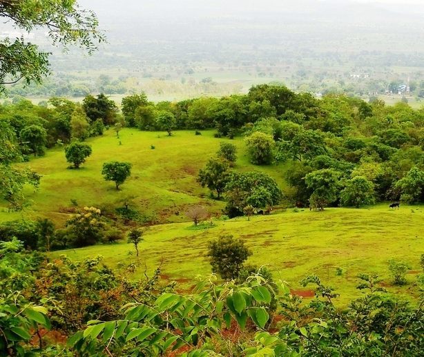 Ananthagiri Hills