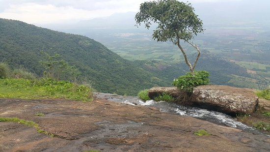 Chellarkovil