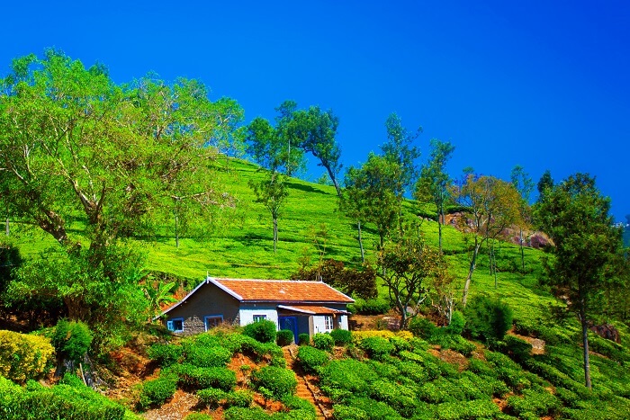 romantic ooty tourist places to visit